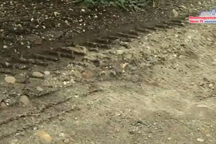 Útalapos pályázat