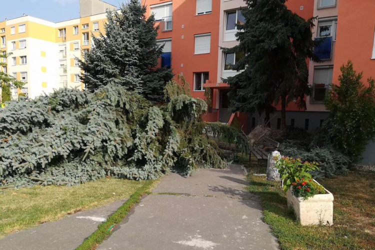 Még vasárnap is munkát adott a tűzoltóknak a csütörtöki vihar