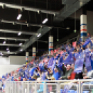 MKC SE – Alba Fehérvár KC 29-31 (17-13)