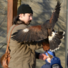 Madaras nap a Pillangó Óvoda és Mini Bölcsődében 