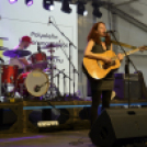 XII. Szigetköz ízei, Vármegye borai Fesztivál 3. nap