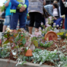 Apró kezek, csodakertek kertépítő verseny (Fotó: Horváth Attila)