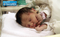 Nagy Daniela, Halászi