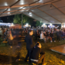 Szigetköz ízei vármegye borai fesztivál /szombat/