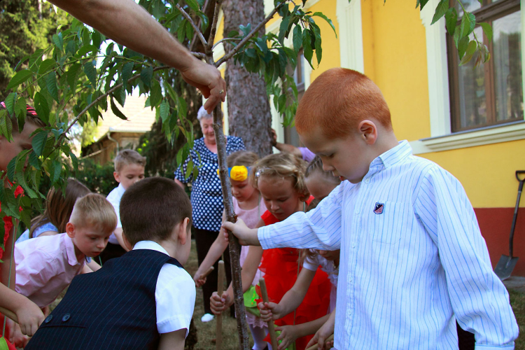  Ballagás a Pillangó Óvodában és Mini Bölcsődében