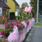 Lajta hídi séta (Fotó: Nagy Mária)