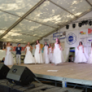 Szigetköz ízei, vármegye borai fesztivál / VÁRMEGYE SZÉPE - VÁRMEGYE HANGJA (Fotó: Horváth Attila)