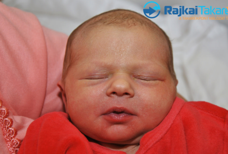 Fülesi Maja, 3830 gr. Mosonmagyaróvár