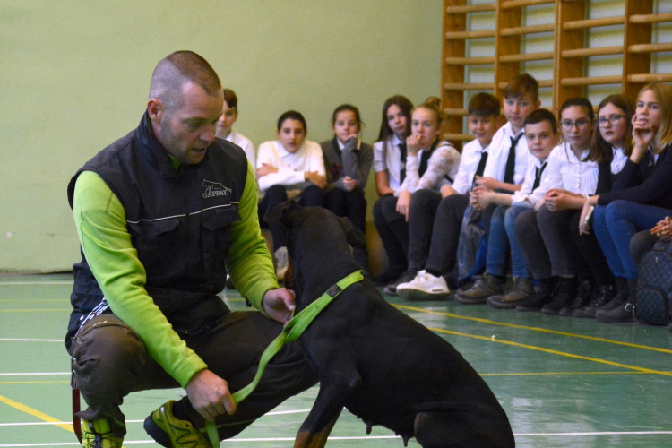Az ókor titkai című történelmi vetélkedő
