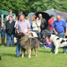 CAC kutyakiállítás (Fotó: Nagy Mária)