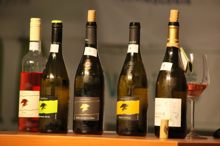 VII. Szigetköz ízei, Vármegye borai fesztivál péntek 1. (Fotó: Nagy Mária)