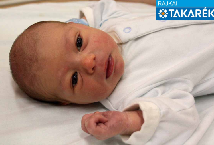 Németh Ármin Olivér, Mosonmagyaróvár