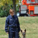 4. Kéklámpás Nap (Fotó: Horváth Attila)