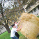 Parasztolimpia 2013 - 1 (Fotó: Nagy Mária)