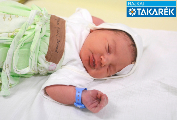 Bognár József Botond, Mosonmagyaróvár