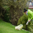 Szemét szedés (Fotó: Nagy Mária)