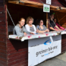 XII. Greiner Szigetköz Minimaraton (Fotó: Horváth Attila)