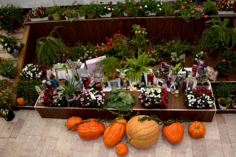 Termény- és virágkiállítás 