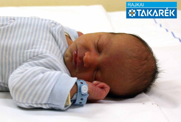 Schneider Lajos, Rajka