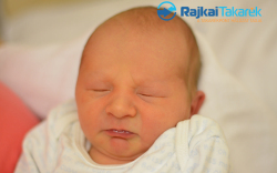 Boros-Veszeli Gellért István, Móvár