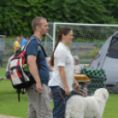 Mosonmagyaróvári Kutyakiállítás