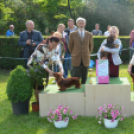 CAC kutyakiállítás (Fotó: Nagy Mária)