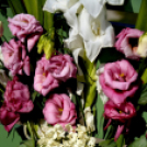 Ballagás a Pillangó Óvoda és Mini Bölcsődében