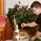 Valentin-napi kényeztetés a Thermal Hotel-ben (Fotó: Horváth Attila)