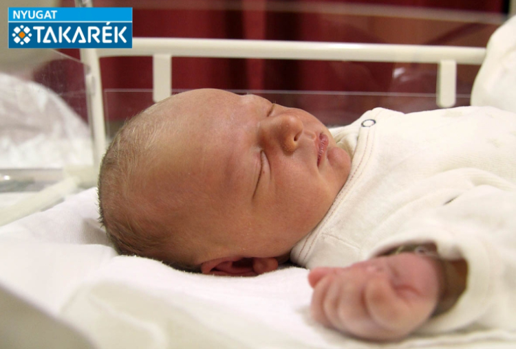 Papp Dominik, Kapuvár