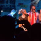 Szigetköz Ízei, Vármegye borai Fesztivál (péntek) (Fotó: Horváth Attila)