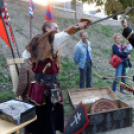 Szigetköz ízei, vármegye borai fesztivál / VÁRMEGYE SZÉPE - VÁRMEGYE HANGJA (Fotó: Horváth Attila)