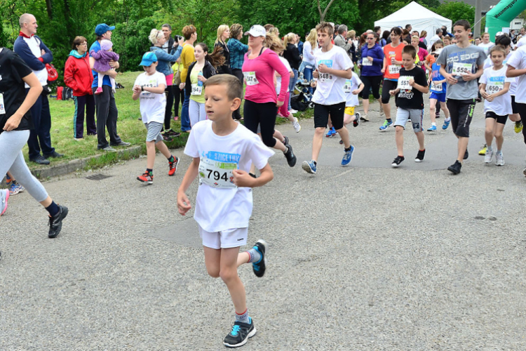 XII. Greiner Szigetköz Minimaraton (Fotó: Horváth Attila)