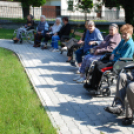 Faültetés az Idősök otthonában