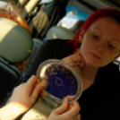 Japán Kert (Fotó: Horváth Attila)