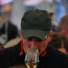 VII. Szigetköz ízei, Vármegye borai fesztivál péntek 1. (Fotó: Nagy Mária)