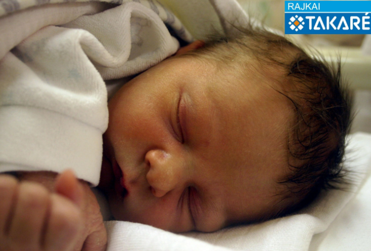 Szakál István, Halászi