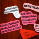 Sport és Egészségnap Mosonmagyaróvár (Fotó: Stipkovits Veronika és Bánhegyi István)