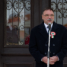 2015. MÁRCIUS 15. Mosonmagyaróvár  (Fotó: Horváth Attila)