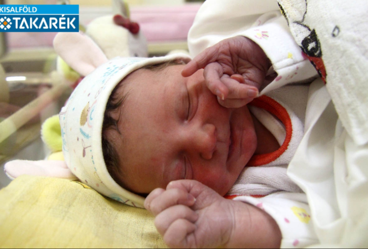 Gősi Luca Kata, Mosonmagyaróvár