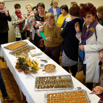 10. Országos könyvtári napok (Fotó: Horváth Attila)