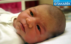 Steininger Balázs, Mosonmagyaróvár