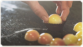 ChocoCard - Lapos Csokoládé Kft.