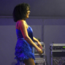 XI. Szigetköz ízei, Vármegye borai Fesztivál 2. nap Színpad