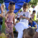 VII. Apró kezek, csodakertek Gyermek Kertépítő verseny