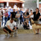 XI. Szigetköz ízei, Vármegye borai Fesztivál 3. nap 