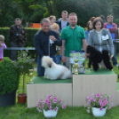 CAC kutyakiállítás (Fotó: Nagy Mária)