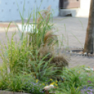 Kult - Utca  divatbemutató