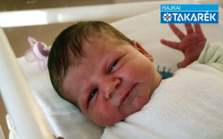 Mayer Fanni, Mosomagyaróvár