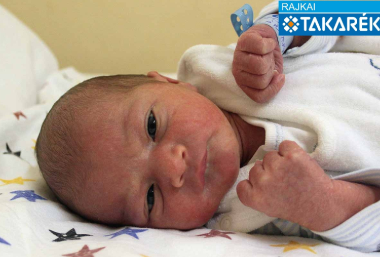 Gutecz Milán, Rajka