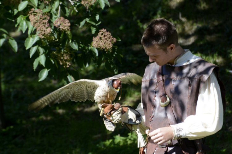 XII. Szigetköz ízei, Vármegye borai Fesztivál 2. nap
